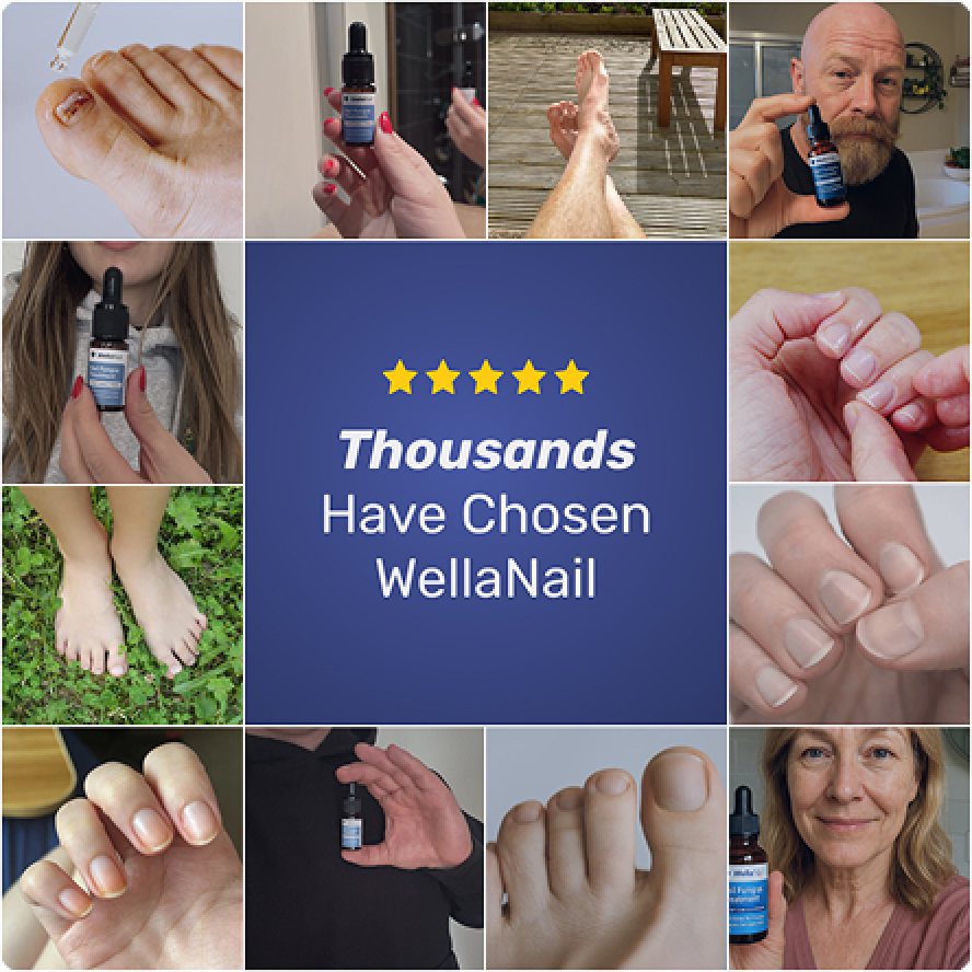 WellaNail image